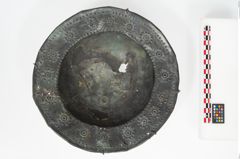 Foto von Bronzebreitrandfußschale (NHMW-PRAE-025213)
